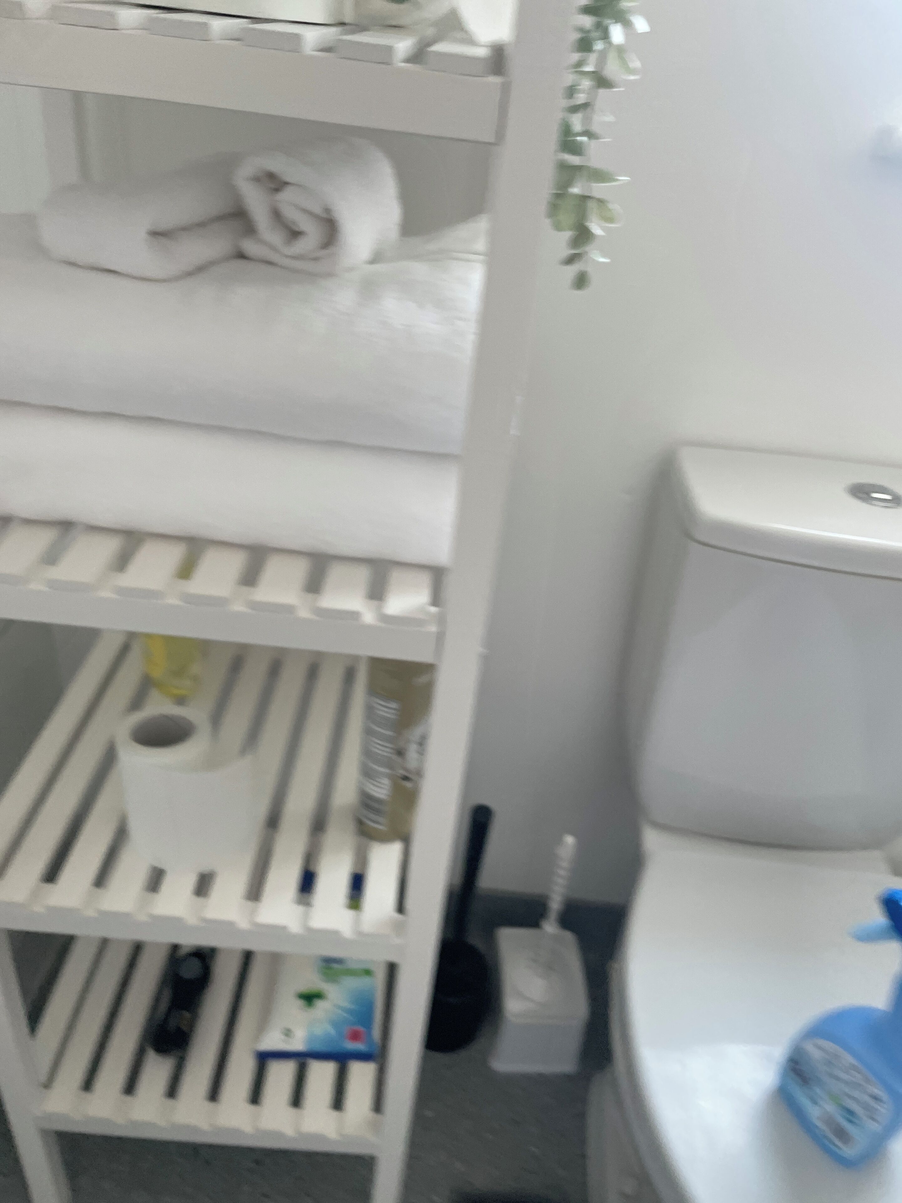 Hair dryer, towels, toilet paper