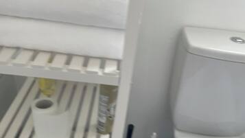 Hair dryer, towels, toilet paper