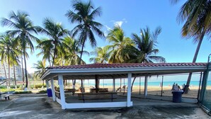 Un pavillon abrité, doté de bancs et d’une poubelle, entouré de palmiers et avec une plage en arrière-plan.