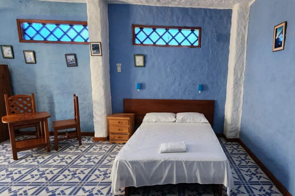 A bedroom with a bed, a chair, a nightstand, and two windows with blue frames.