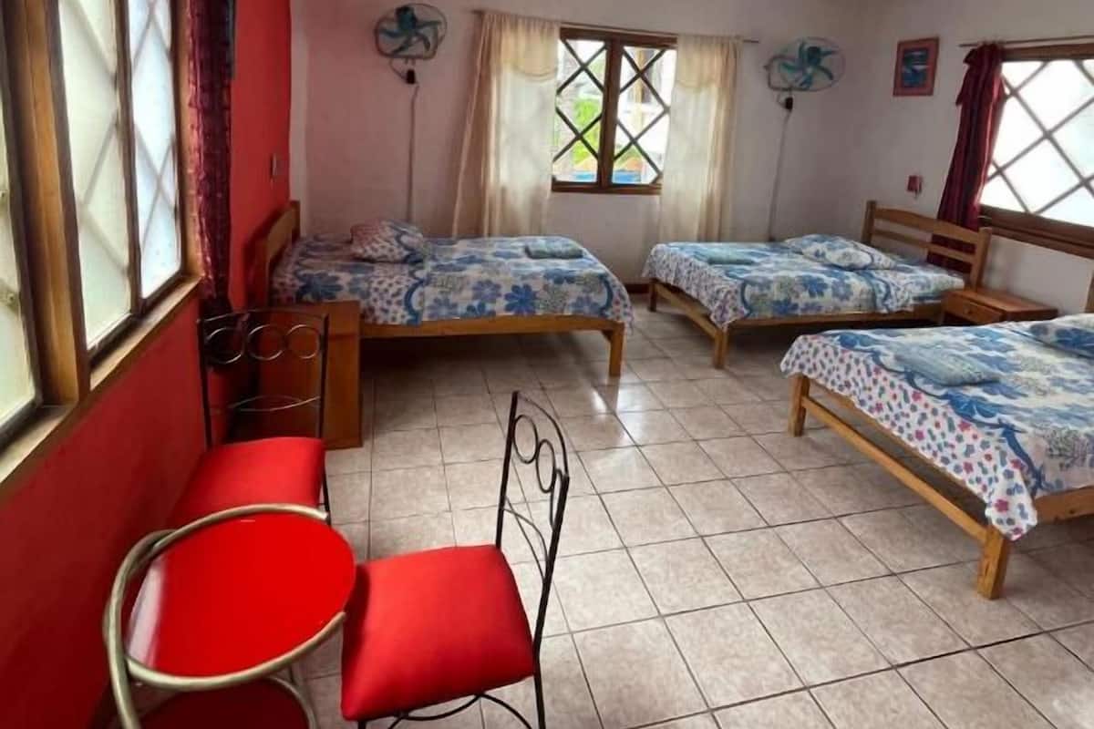 Classic Triple Room, Multiple Beds | Down comforters, laptop workspace, bed sheets