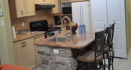 Charming 2-bedroom house in nice Ottawa with AC