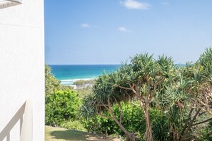 Property grounds - Whale Watch Unit 6 – Beachfront Bliss with Ocean Views (Point Lookout)