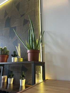Puisesta pöydästä on aseteltu esille ruukkukasveja, muun muassa aloe vera -kasvi, ja seinää koristavat geometriset kuviot.