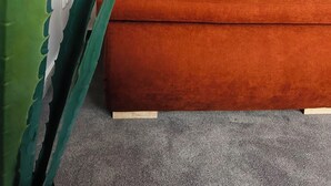 Et hjørne af et rum med et gråt gulvtæppe, en brun sofa og en grøn plante med savtakket blad.