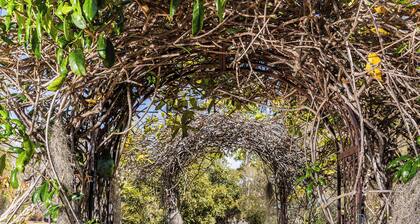 Benaraby Hilltop Motor Inn