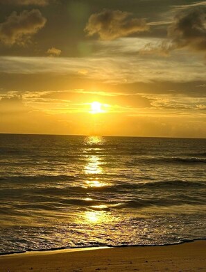 Sun loungers, beach towels - Luxury 2-bedroom villa 10 minutes from downtown. Pet friendly! (Naples)