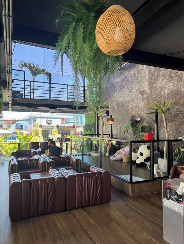 Café - Lulu Hotel at The Glasshouse Lion Café (Ratsada)