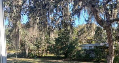 Lots of open and private space for the family and pets