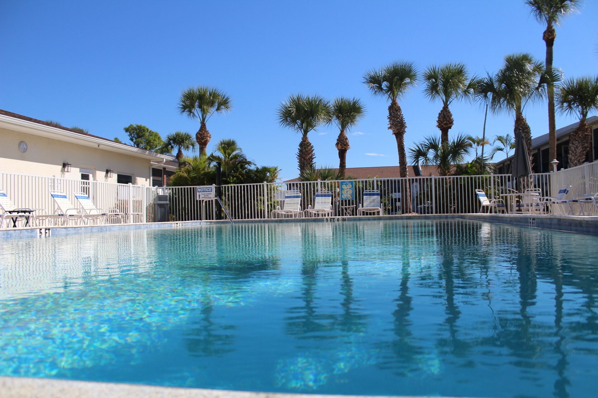 Une piscine à l’eau d’un bleu cristallin, entourée de palmiers et de chaises longues.