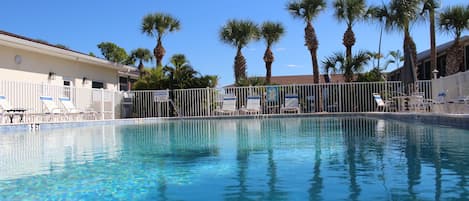 Une piscine à l’eau d’un bleu cristallin, entourée de palmiers et de chaises longues.