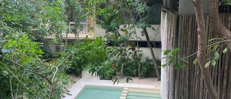 Jardín