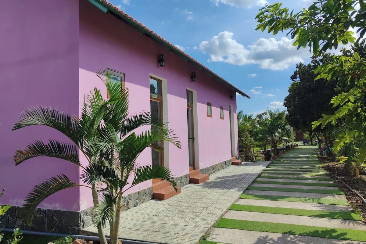 A pink building with a paved pathway leading to the entrance, surrounded by greenery and palm trees.