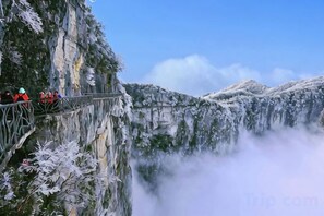 Unclassified image, 4 of 31, button - Zhoujia Zhaizi (Zhangjiajie National Forest Park) (Zhangjiajie)
