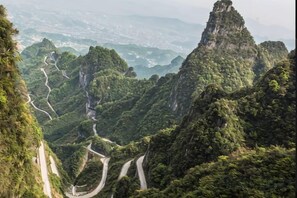 Unclassified image, 2 of 31, button - Zhoujia Zhaizi (Zhangjiajie National Forest Park) (Zhangjiajie)