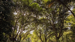 Parco della struttura