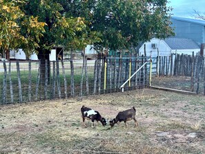 Overnattingsstedets uteområder