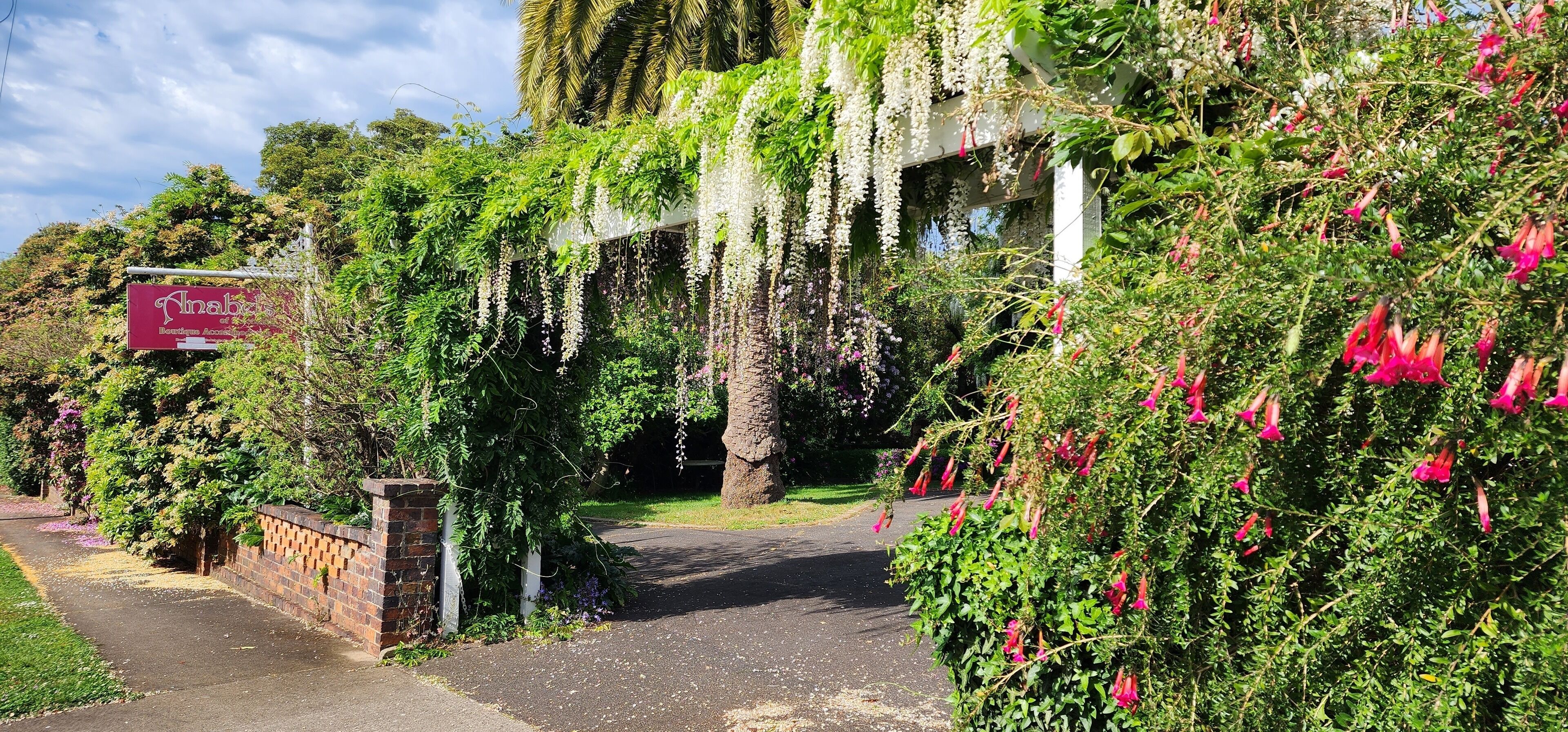 Terrein van de accommodatie