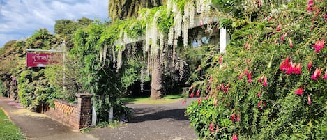 Área da propriedade