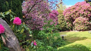 A garden with blooming pink trees, a lawn, and a table and chairs.