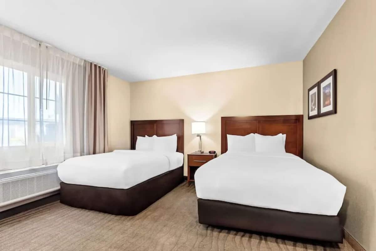 A hotel room with two single beds, a nightstand with a lamp, a window with sheer curtains, and a wall-mounted picture.