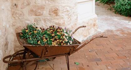 Classic modern country style studio located in the heart of McLaren Vale.