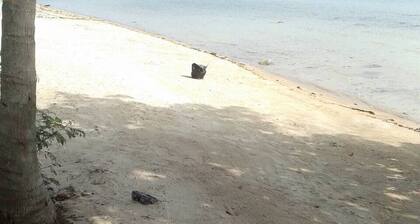 Room-nakara Samui S2 One Bedroom Apt