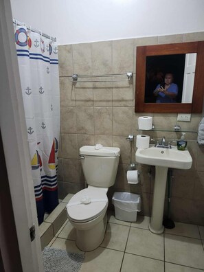 Secadora de cabello, toallas, jabón, papel de baño 