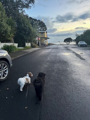 Aceita animais de estimação