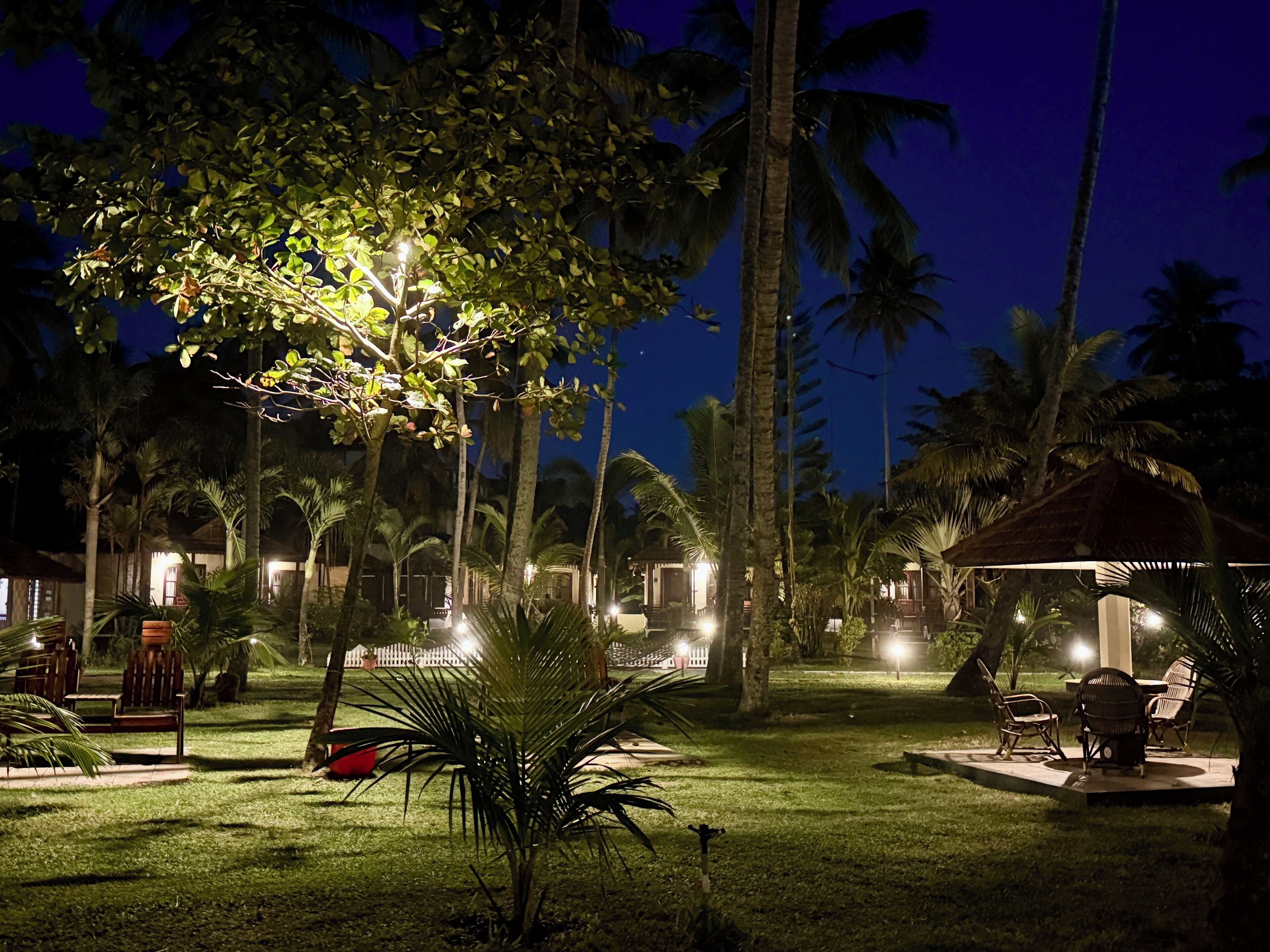 A well-lit outdoor area with palm trees, a gazebo, and lounge chairs.