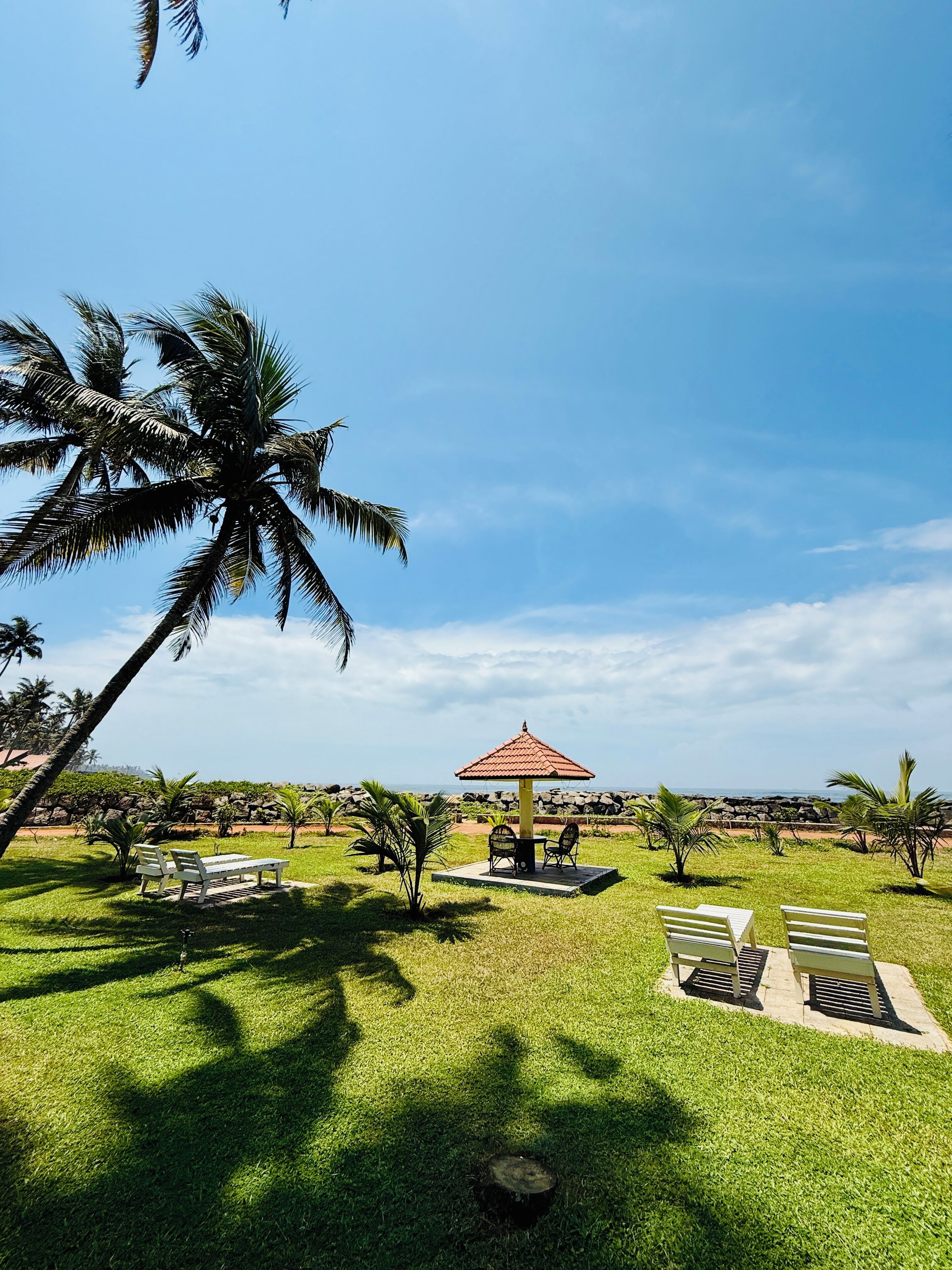 A grassy area with a gazebo, benches, and palm trees.