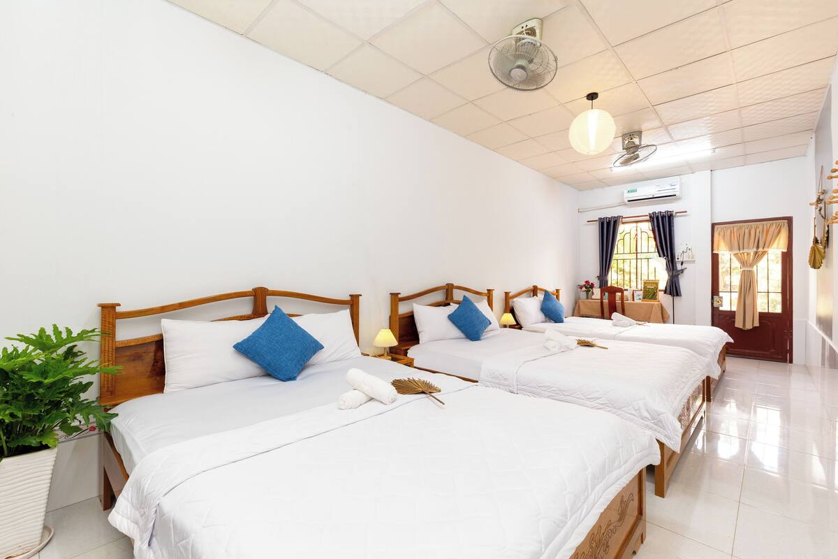 Une chambre d’hôtel avec trois lits en bois, du linge de lit blanc et une plante en pot.