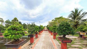 A pathway lined with potted trees and a clear sky. - SaDec Farmstay (Sa Dec)
