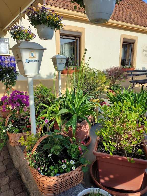 Hotel And Guesthouse Good Value For Money - Bautzen
