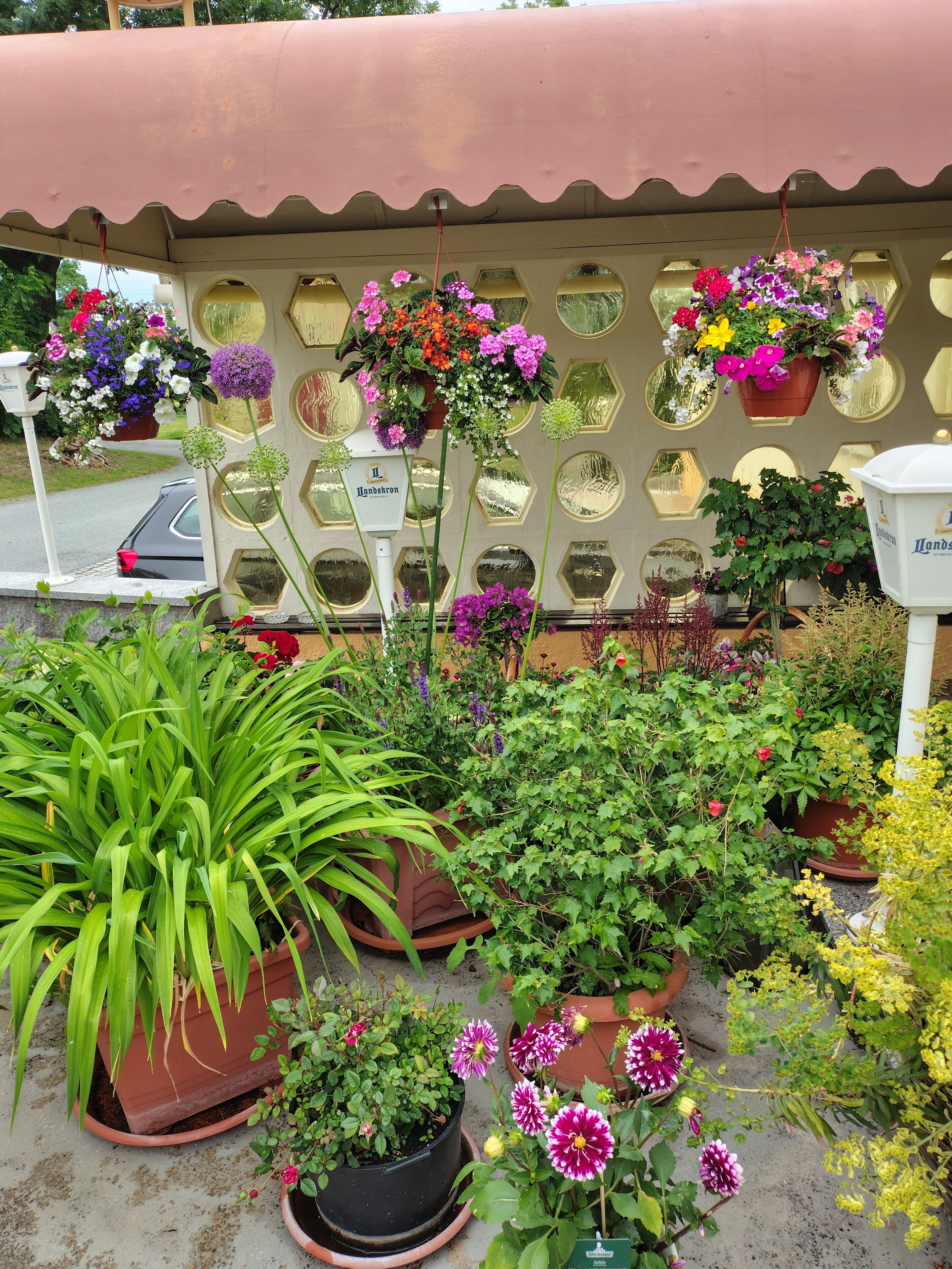 Enceinte de l’hébergement