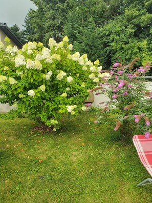Property grounds - Hotel and guesthouse good value for money (Hochkirch)