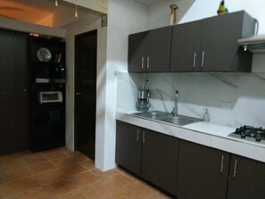 Private kitchen - Spacious two-level loft with a balcony and terrace (Playas Del Coco)