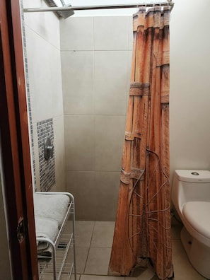 Shower, hair dryer, towels, soap - Spacious two-level loft with a balcony and terrace (Playas Del Coco)