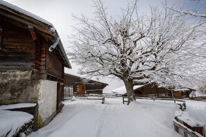Property grounds - Sunny Bijou Studio • Ski-in, Ski-out • Queen Bed (Wengen)