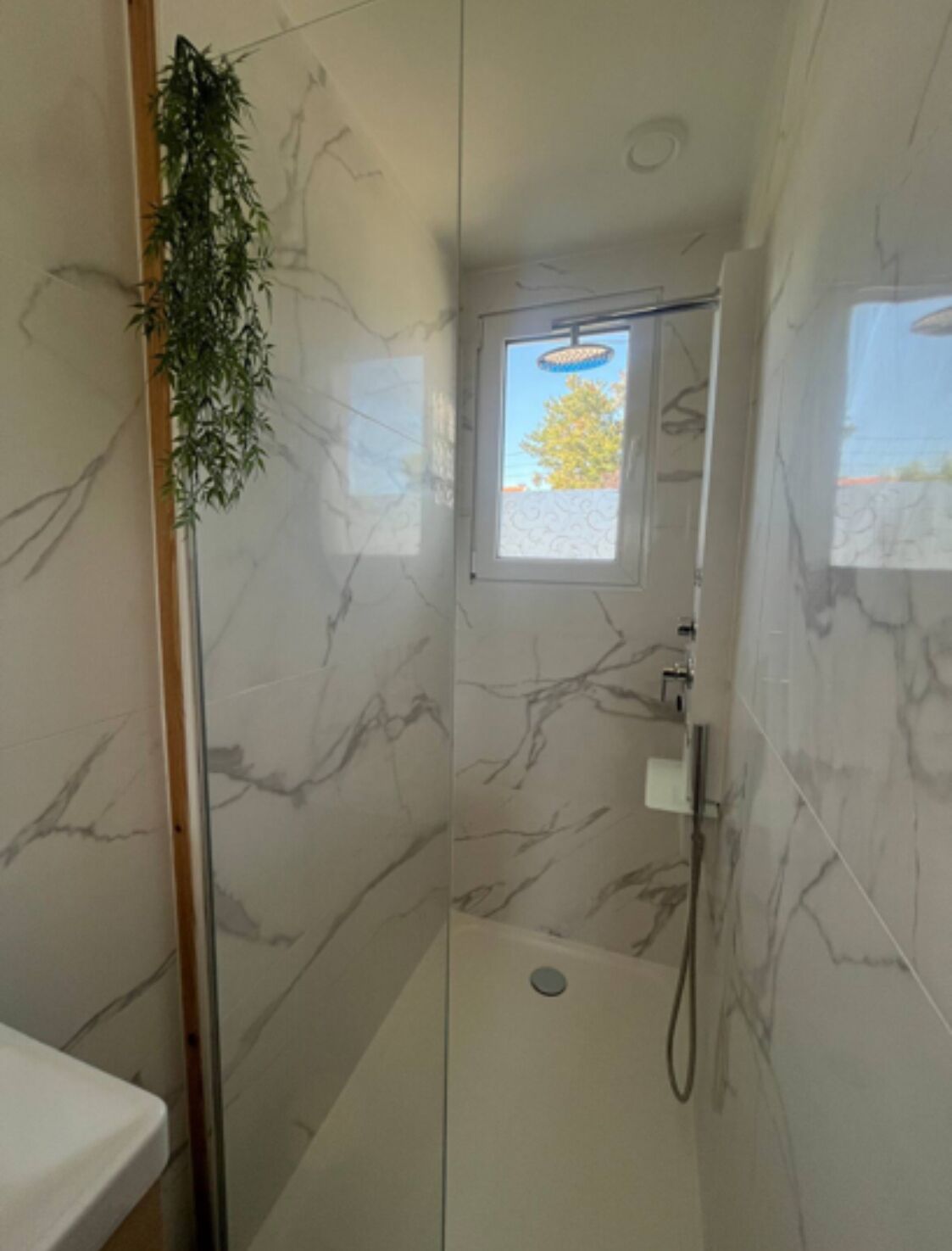 Een badkamer met een glazen douchecabine, een raam met uitzicht op een boom en een plant aan de linkerkant.