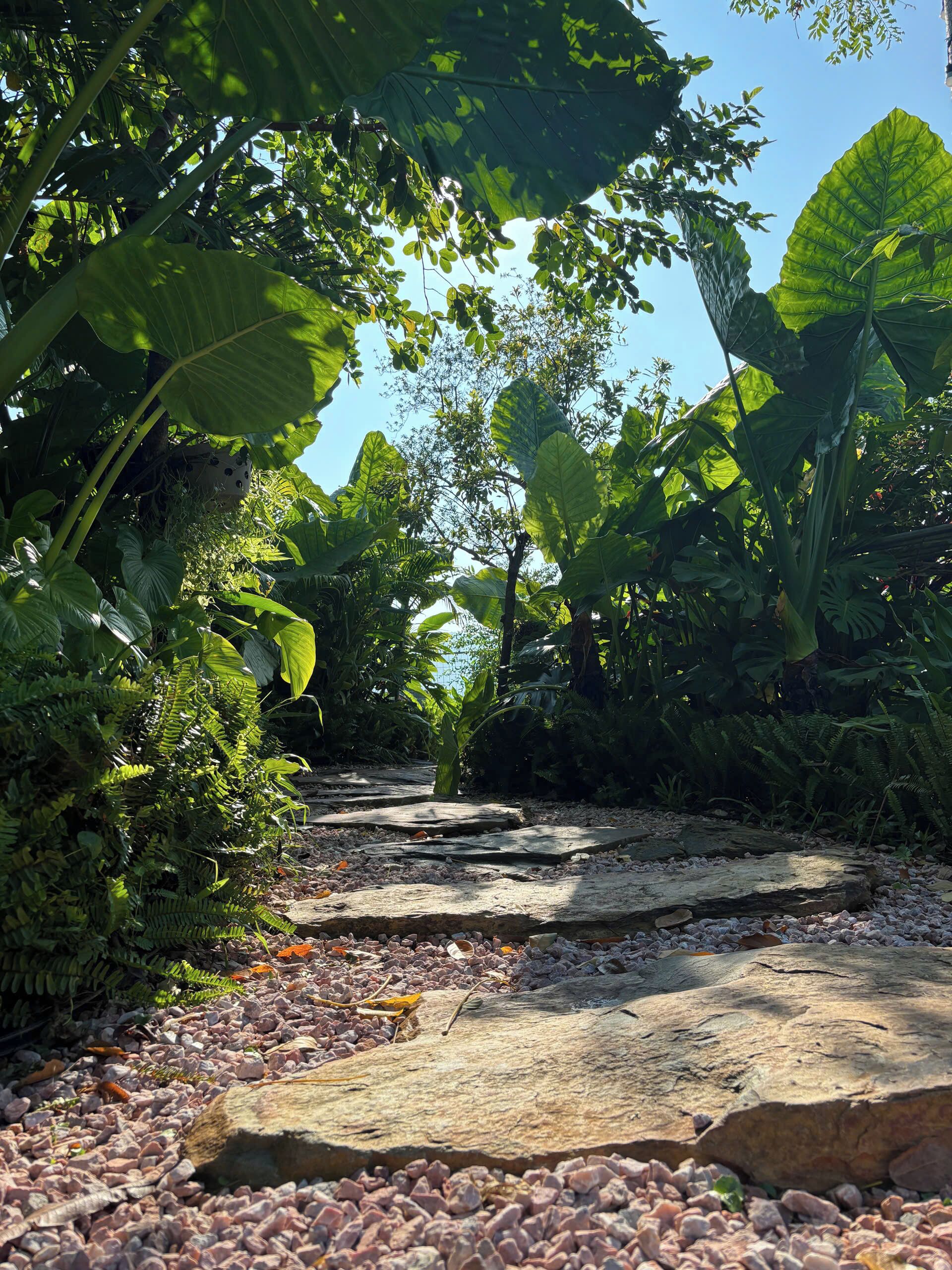 Entrada al alojamiento