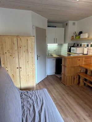 Interior - South-facing studio with direct runway access sleeps 4 Vallée Blanche residence (Allos)