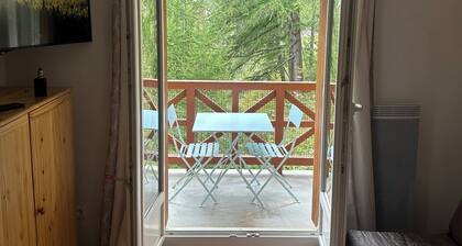 South-facing studio with direct runway access sleeps 4 Vallée Blanche residence