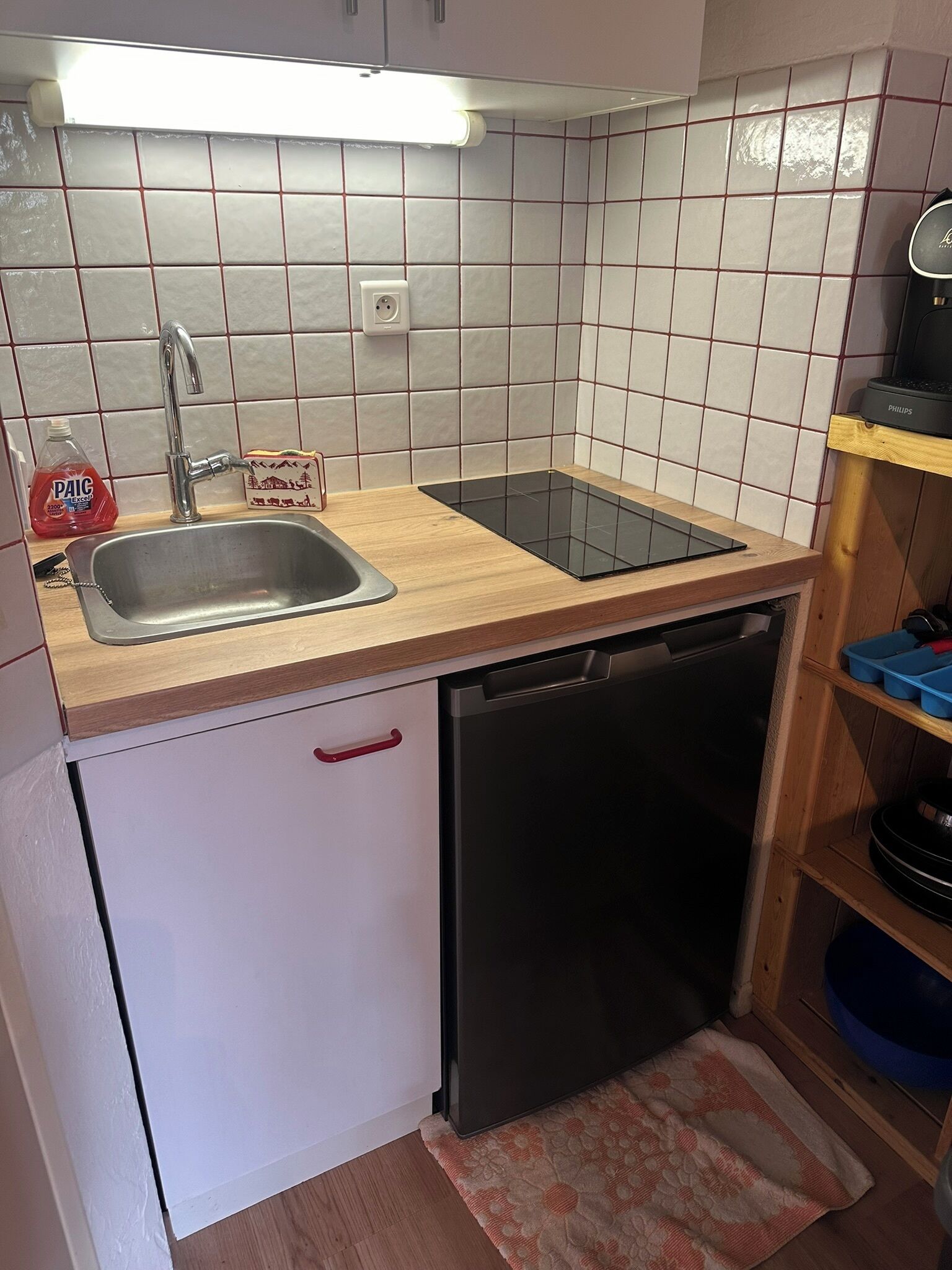 A compact kitchen with a sink, a dishwasher, and a compact refrigerator.