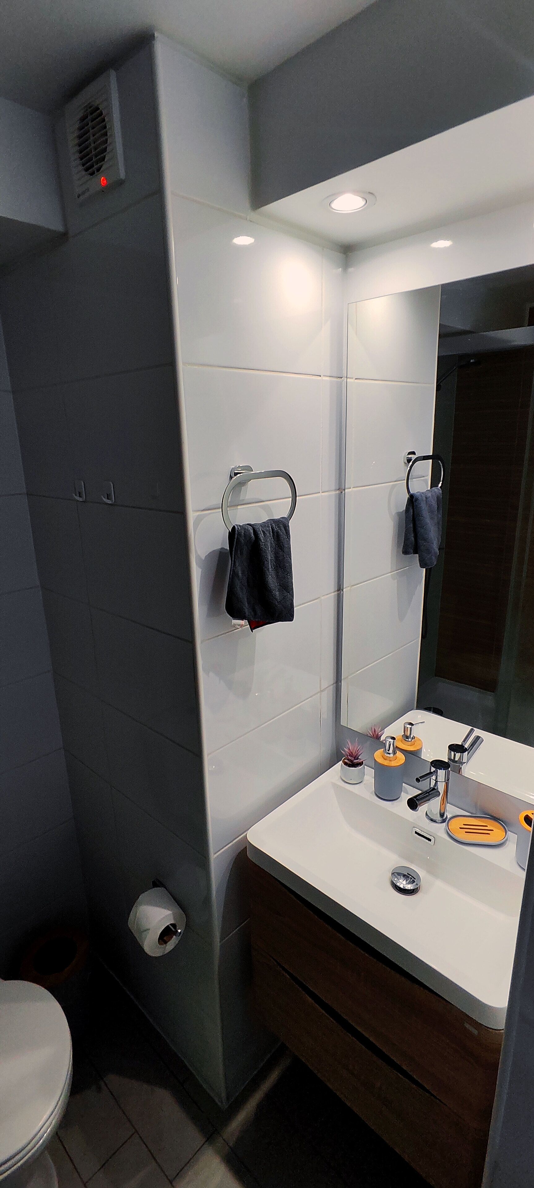 Shower, towels, soap, toilet paper