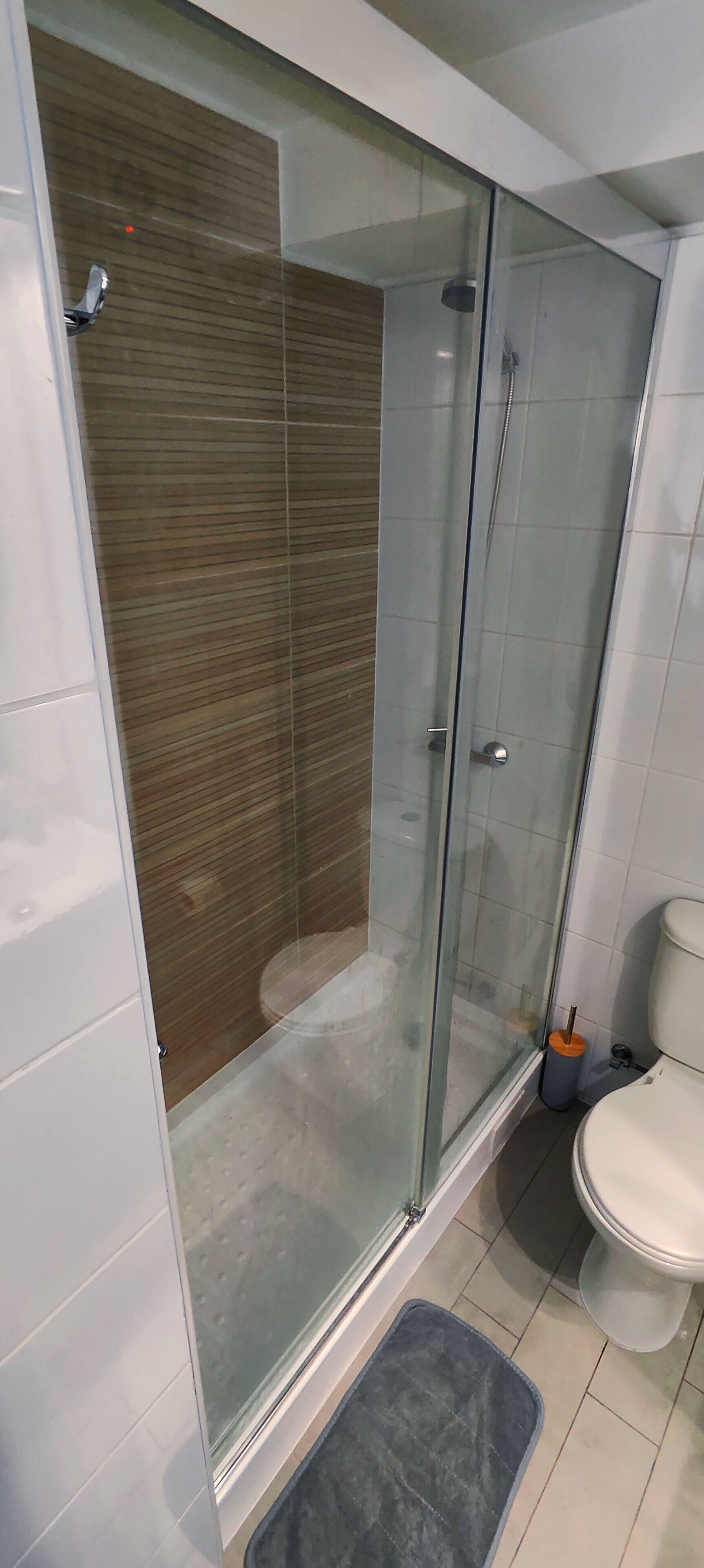 Regadera, toallas, jabón, papel de baño 