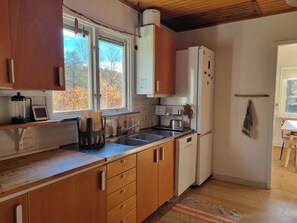 Fridge, oven, stovetop, dishwasher