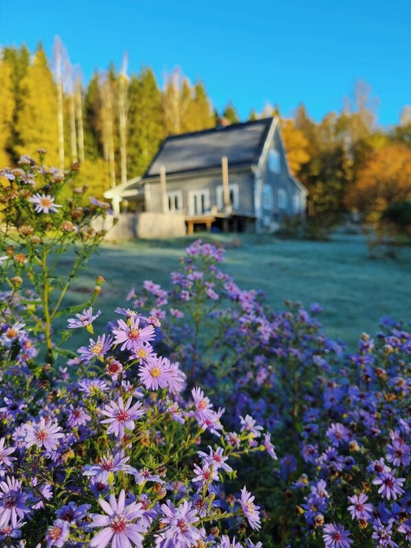 Overnatningsstedets område