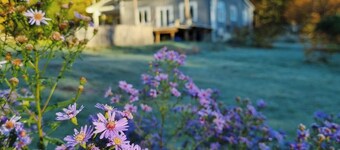 Swedish country idyll