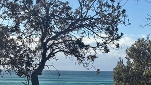 Caminho na praia que leva ao oceano, ladeado por árvores e um cercado.